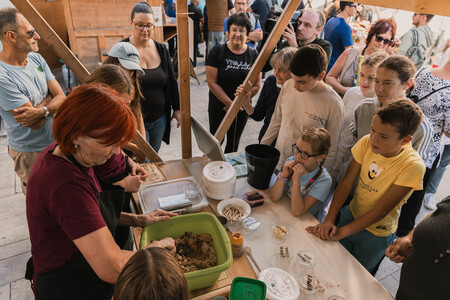 Jestival 2026 Kobarid Foto Matevž Manfreda (15)